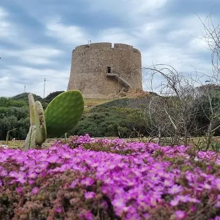 Apartament Rena Bianca 8