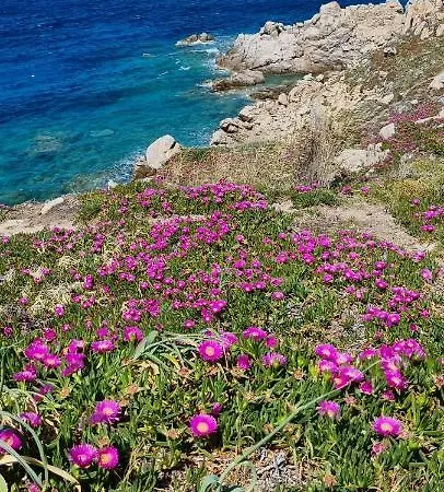 Appartement Rena Bianca 8 *