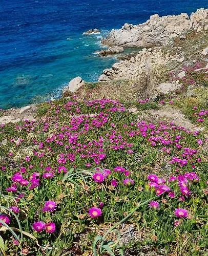 Apartman Rena Bianca 8 *